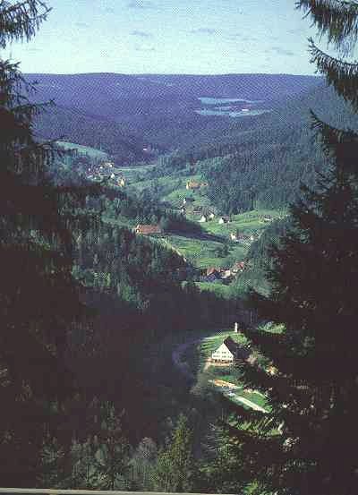 Black Forest (Alpirsbach)